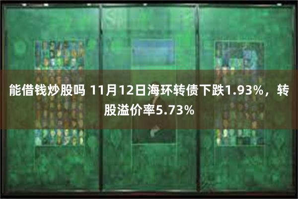 能借钱炒股吗 11月12日海环转债下跌1.93%，转股溢价率5.73%