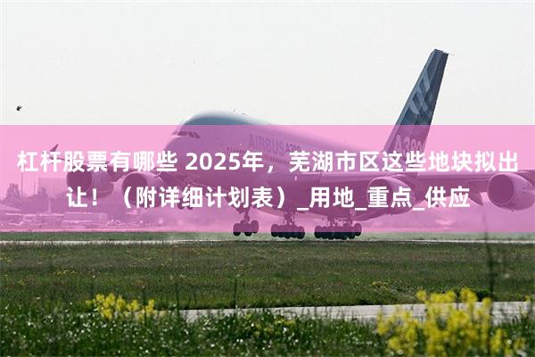 杠杆股票有哪些 2025年，芜湖市区这些地块拟出让！（附详细计划表）_用地_重点_供应