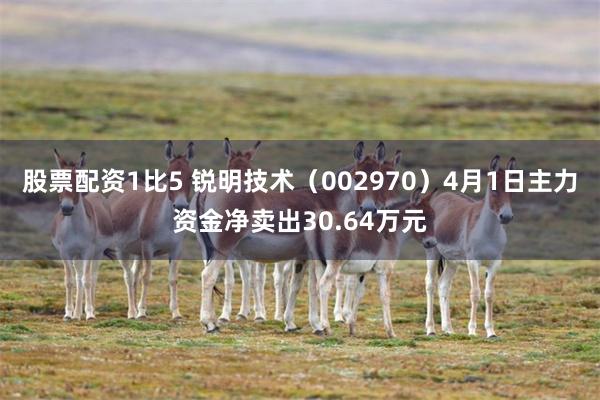 股票配资1比5 锐明技术（002970）4月1日主力资金净卖出30.64万元