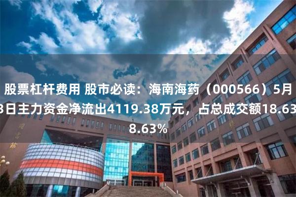 股票杠杆费用 股市必读：海南海药（000566）5月13日主力资金净流出4119.38万元，占总成交额18.63%