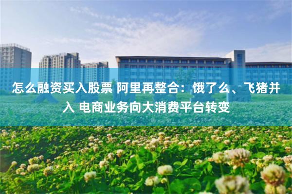 怎么融资买入股票 阿里再整合：饿了么、飞猪并入 电商业务向大消费平台转变