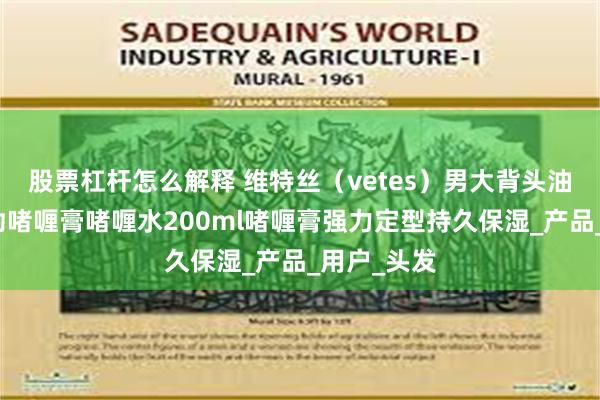 股票杠杆怎么解释 维特丝（vetes）男大背头油头造型刚劲啫喱膏啫喱水200ml啫喱膏强力定型持久保