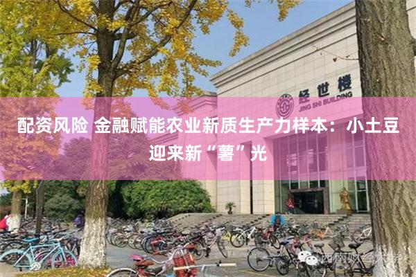 配资风险 金融赋能农业新质生产力样本：小土豆迎来新“薯”光